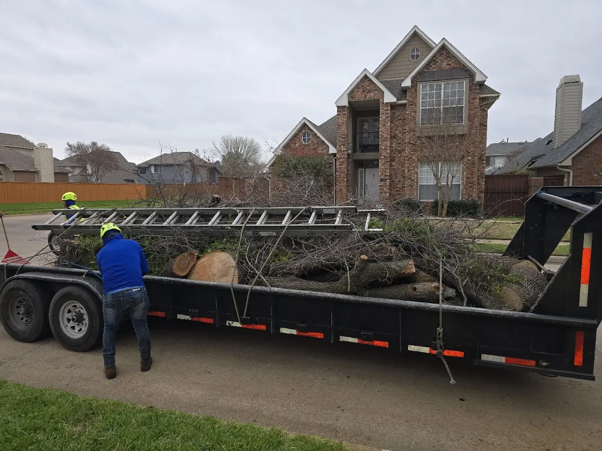 Expert Tree Fertilization with proper safety equipment in Fort Laramie